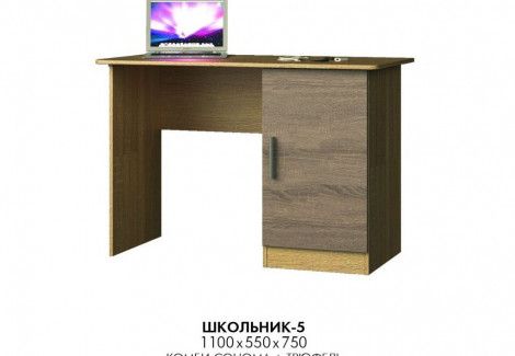 Стол компьютерный Школьник-5 Эверест